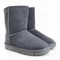 PLPS PESM 5825