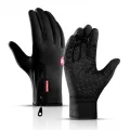 ������.��: ��������� Golovejoy ���.Termo