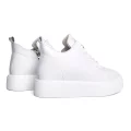 KD SL 550