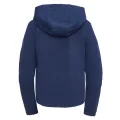 ALE AW-12