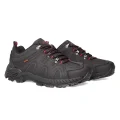 Bona 851 �