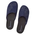 Sanipur NC 0003