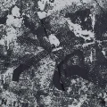 SYBU 5975