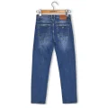 Reigouse R6703